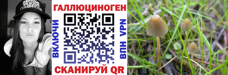Псилоцибиновые грибы прущие грибы  МЕГА онион  Краснознаменск 